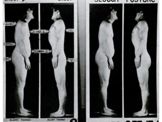 Scientific illustration of good posture versus slouching, with arrows pointing to various areas on the body.