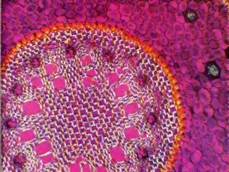 Scientific illustration of a root seen through a microscope, all purple and magenta in round geometries. In the 1970s, this looked like the future.