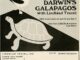 Scientific illustration of a tortoise and blue-footed booby, done in a mid-century cartoon style, as part of an ad for Lindblad Travel in 1969.
