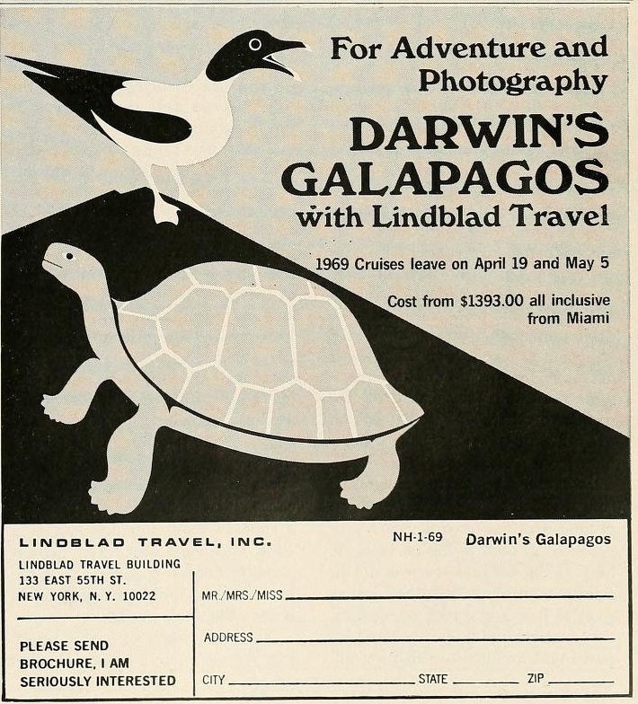 Scientific illustration of a tortoise and blue-footed booby, done in a mid-century cartoon style, as part of an ad for Lindblad Travel in 1969.