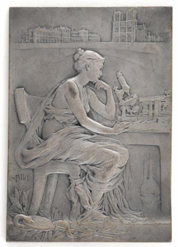 Scientific illustration of science, personified, contemplating beside her microscope.
