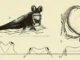 Scientific illustration of a mudskipper emerging from the water and looking out in air, with diagrams of mudskipper eyeballs and eye positioning.