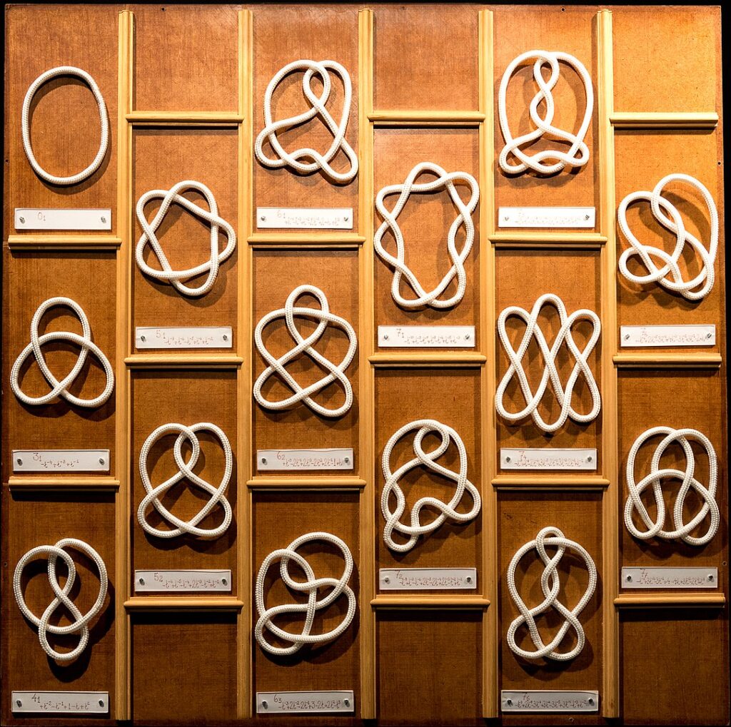 Scientific illustration in the form of a board on which rows of mathematical knots are mounted, complex geometries in loops of cord.