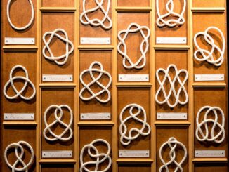 Scientific illustration in the form of a board on which rows of mathematical knots are mounted, complex geometries in loops of cord.