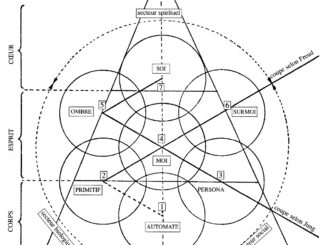 Scientific illustration of the seven components of a personality, according to Charles Baudouin - a diagram that looks almost like a magical seal, interlocking circles inside a triangle overlapped by a three-part circle.