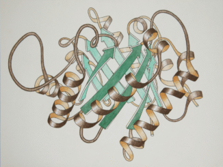 Scientific illustration of the coiled spirals and twisting arrows of a molecular diagram, hand drawn and colored.