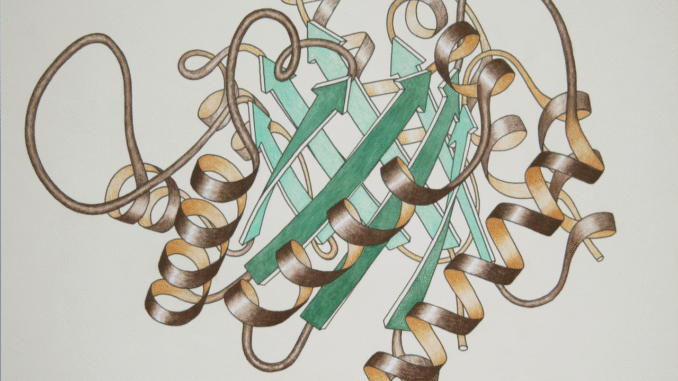 Scientific illustration of the coiled spirals and twisting arrows of a molecular diagram, hand drawn and colored.
