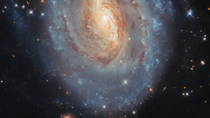 Scientific illustration of a spiral galaxy snapped by a space telescope, a yellow and blue spiral whirling against the blackness of space, with a bonus image of an asteroid moving much closer to Earth off to the right side, visible as four thin, colored lines: snapped when the telescope took four different colored exposures.