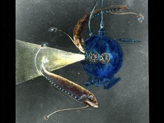 Scientific illustration of a bathysphere by Leo Wehrli, showing deep-sea creatures as known in the 1930s.