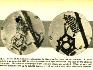 Two circular images of geometric objects revealed under an electron microscope.
